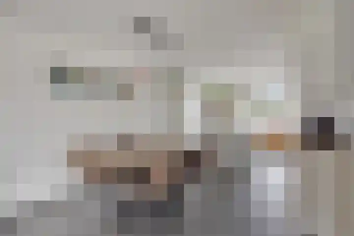 Valkenlaar 5 Bavel thumbnail 12