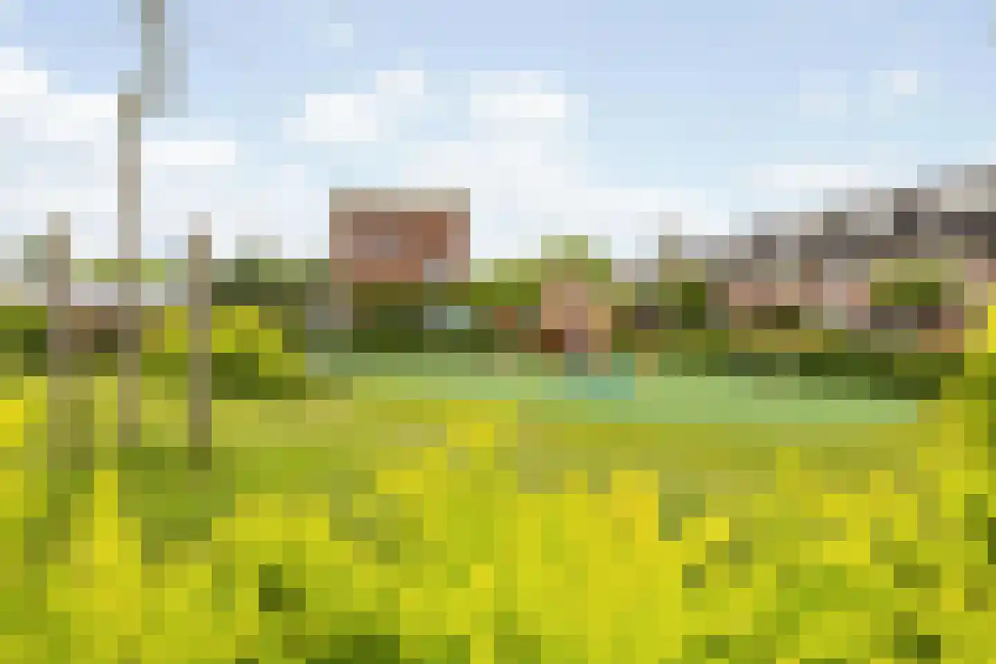Valkenlaar 5 Bavel thumbnail 12