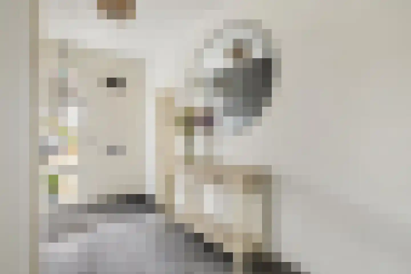 Valkenlaar 5 Bavel thumbnail 13