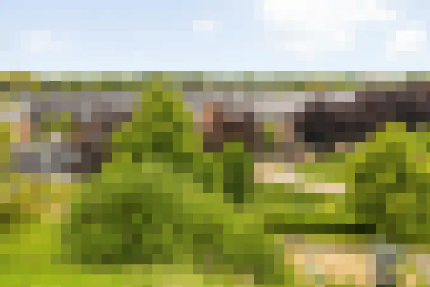 Valkenlaar 5 Bavel thumbnail 14