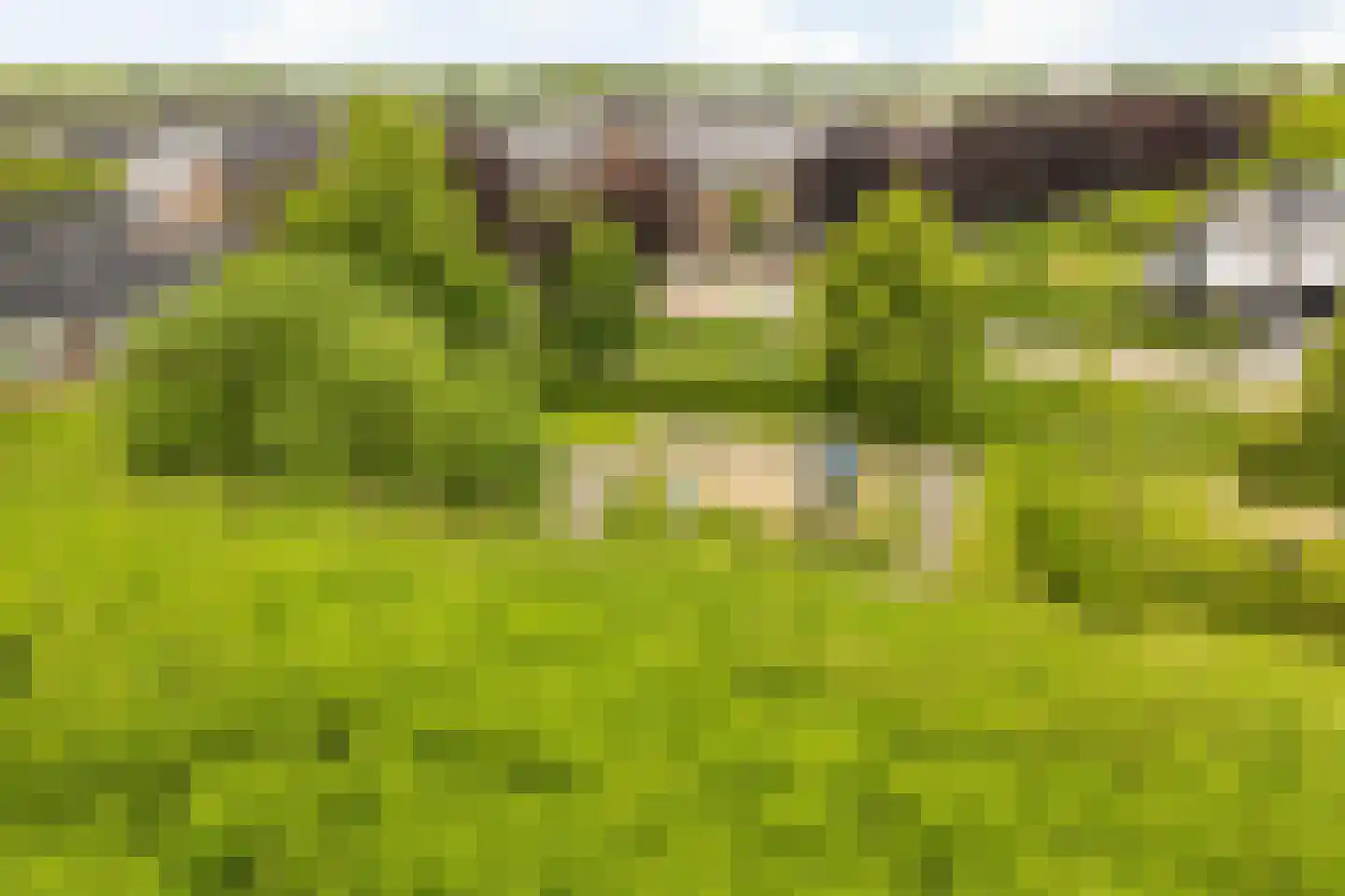 Valkenlaar 5 Bavel thumbnail 15