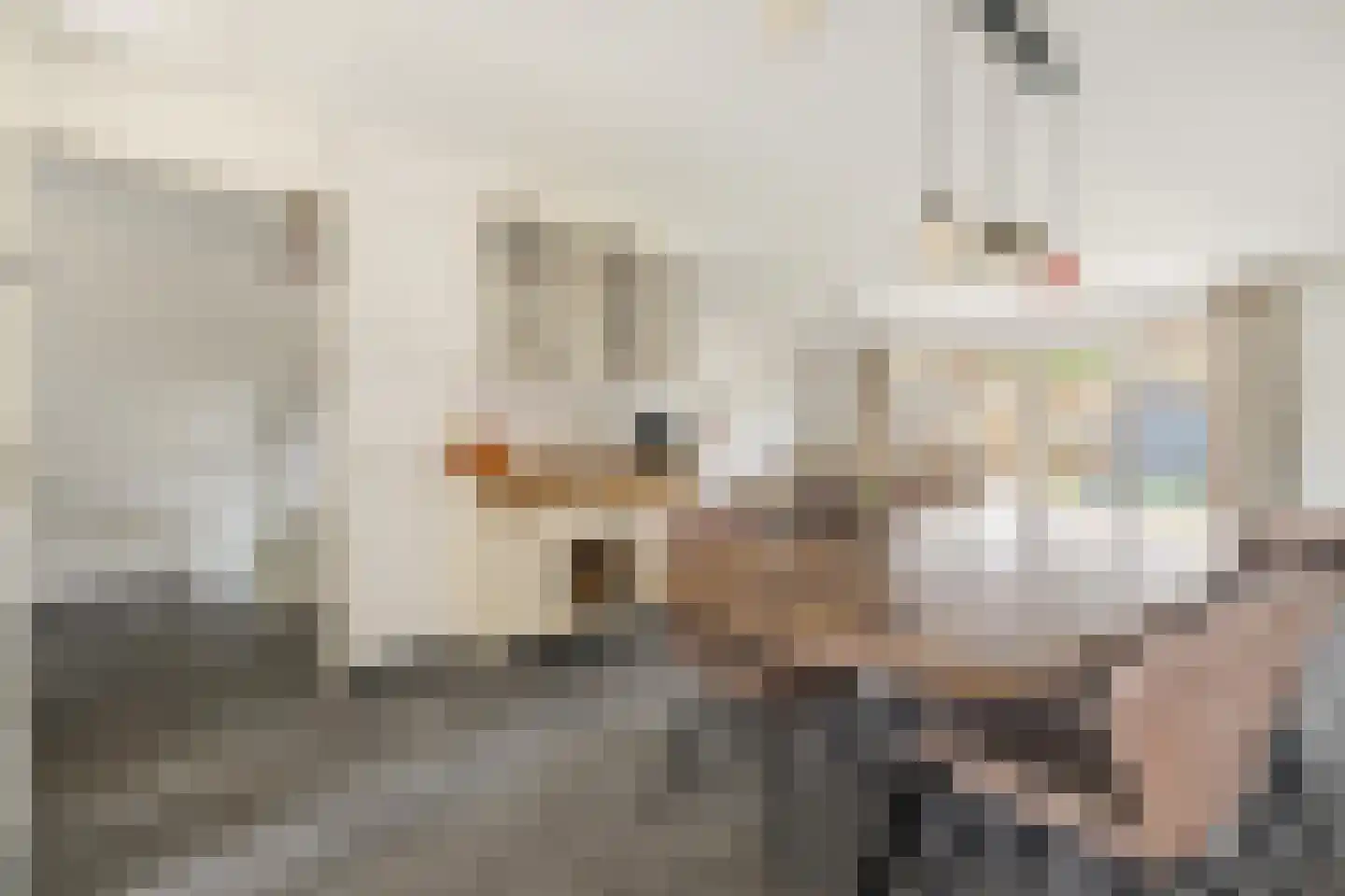 Valkenlaar 5 Bavel thumbnail 15