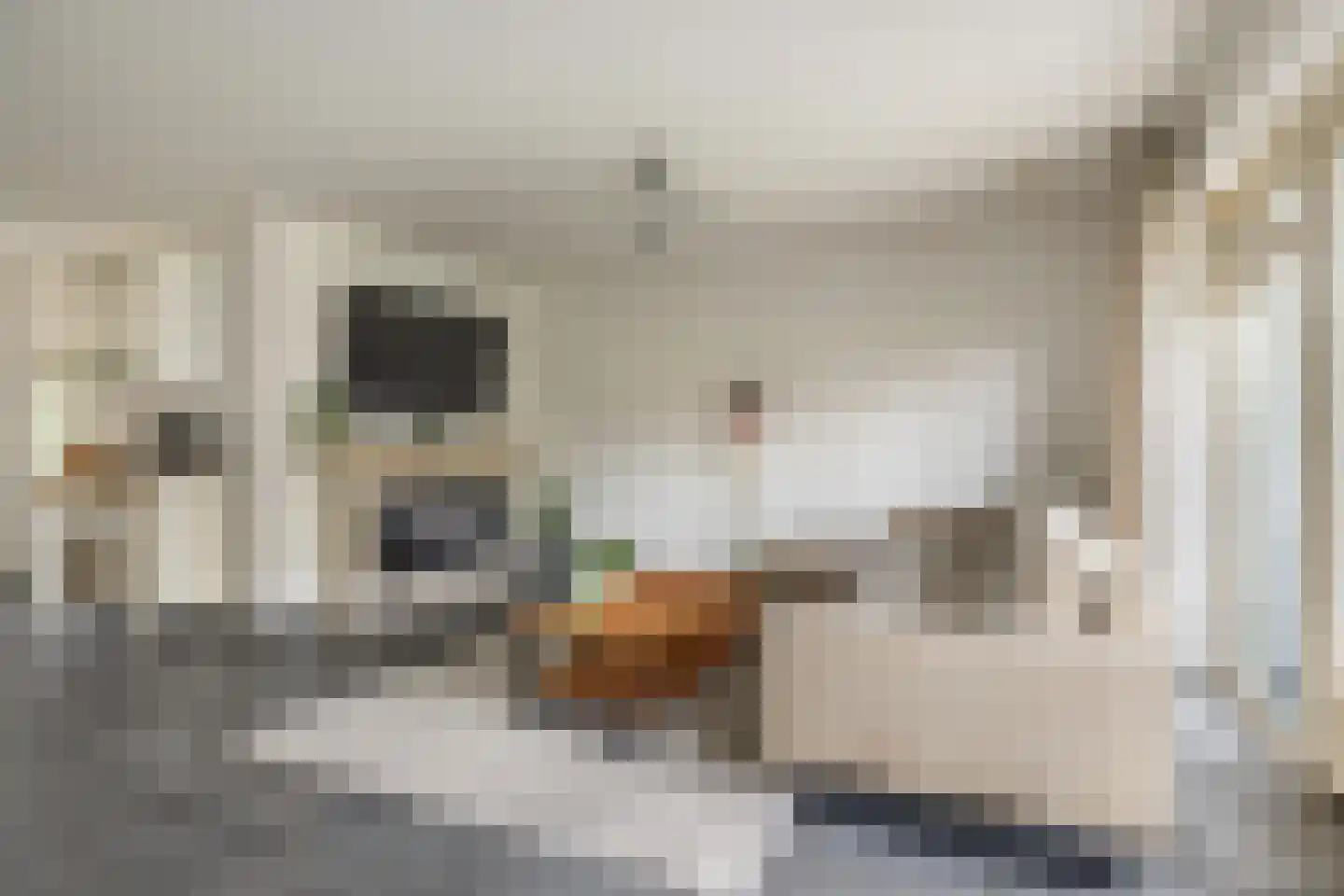 Valkenlaar 5 Bavel thumbnail 19