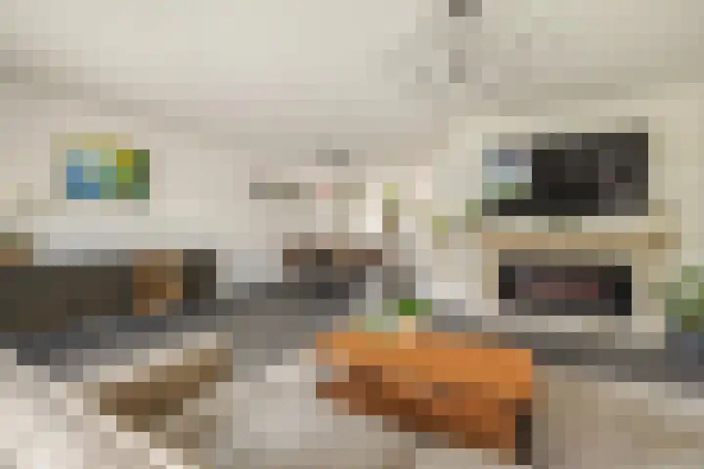 Valkenlaar 5 Bavel foto 2