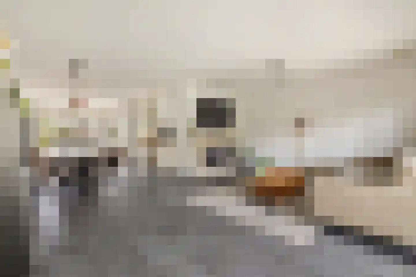Valkenlaar 5 Bavel thumbnail 20