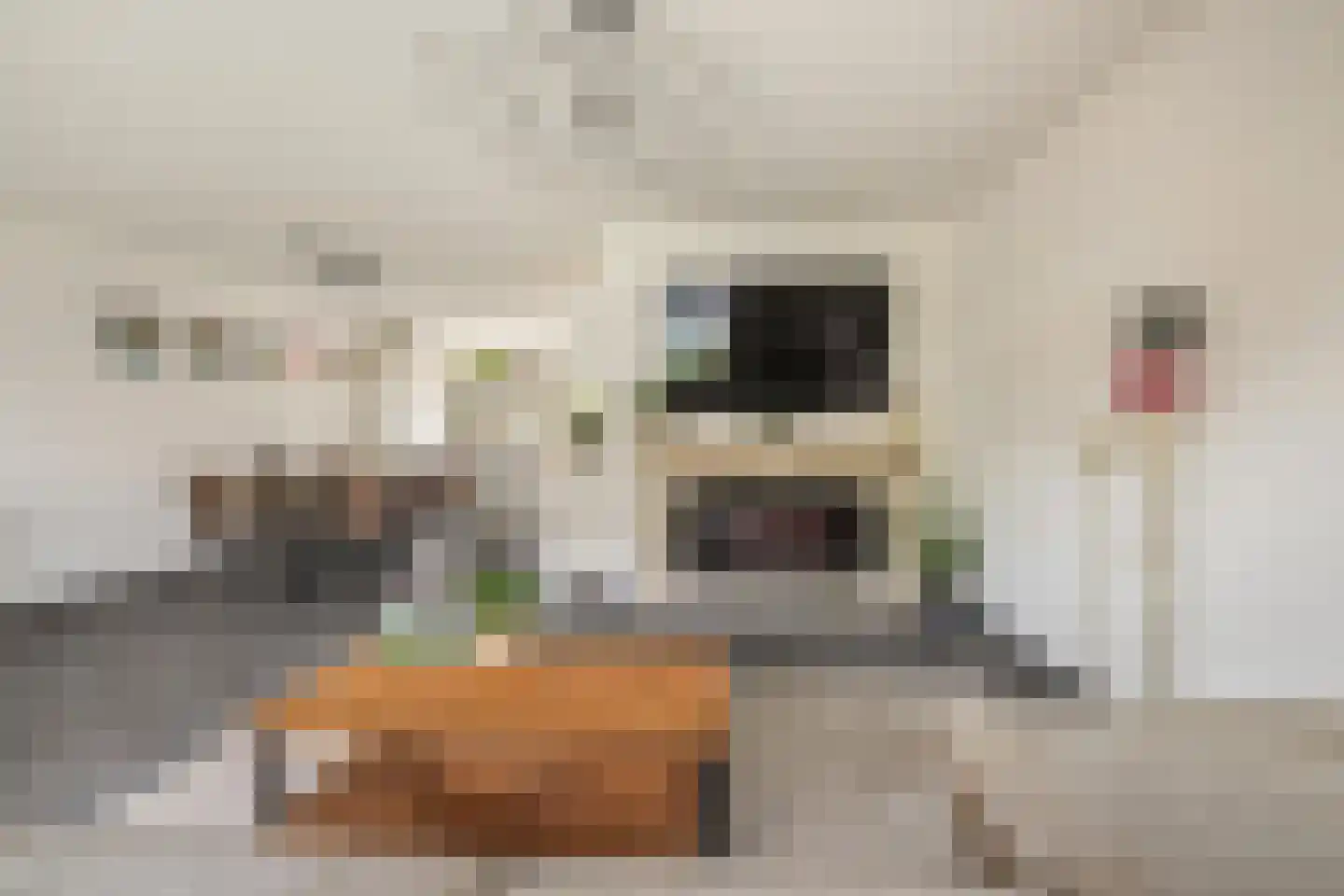 Valkenlaar 5 Bavel thumbnail 21