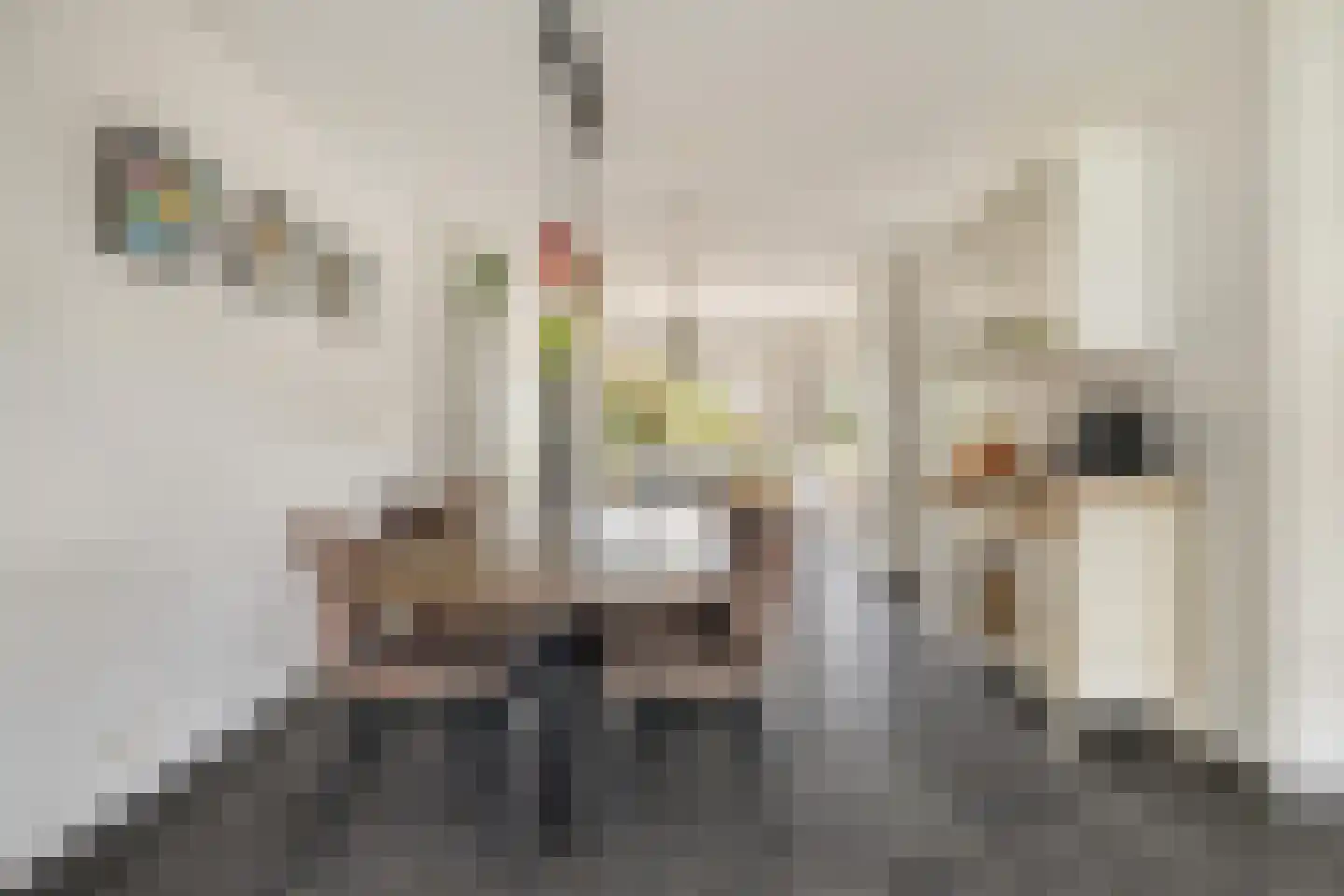 Valkenlaar 5 Bavel thumbnail 25
