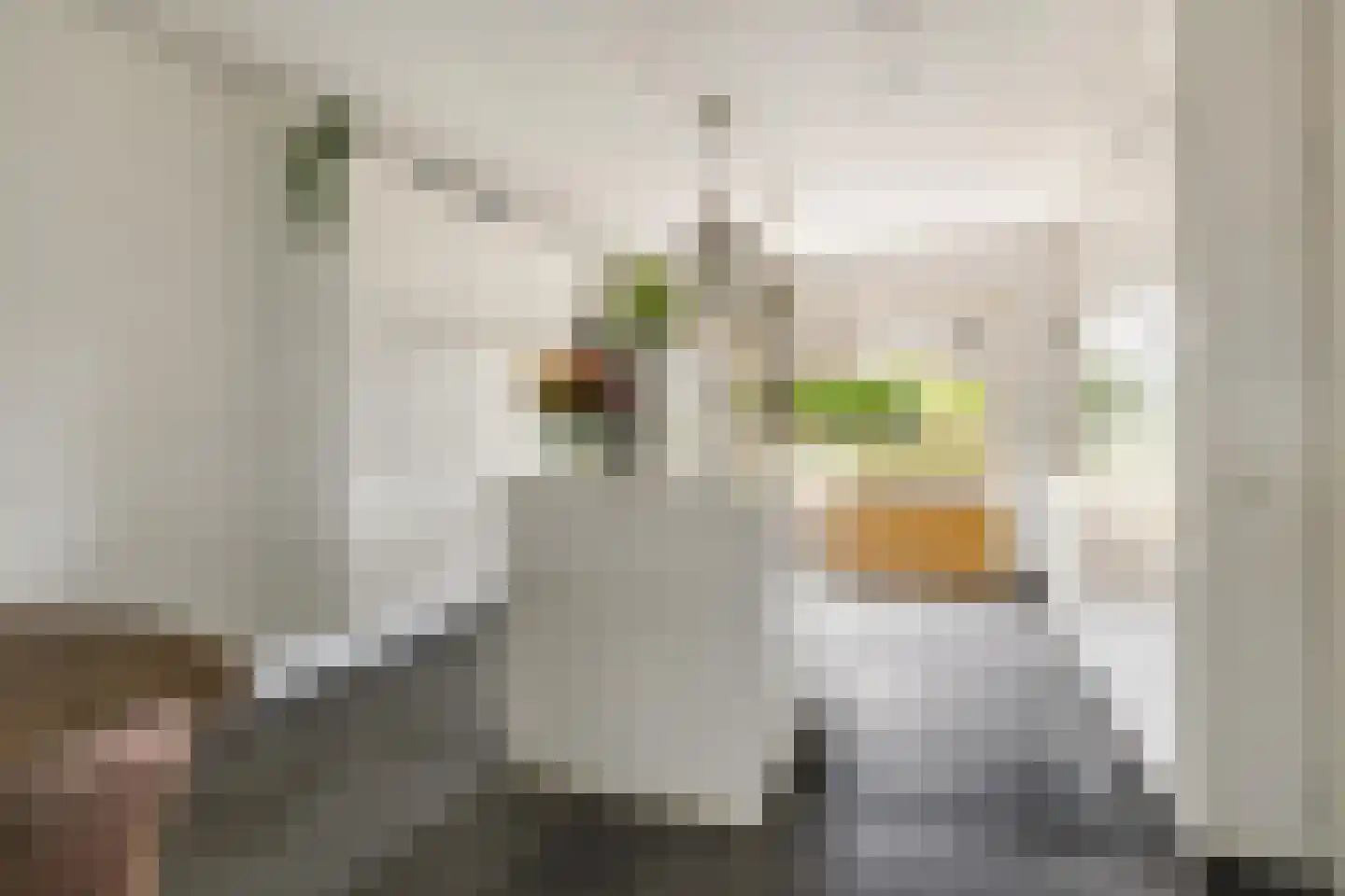 Valkenlaar 5 Bavel thumbnail 26