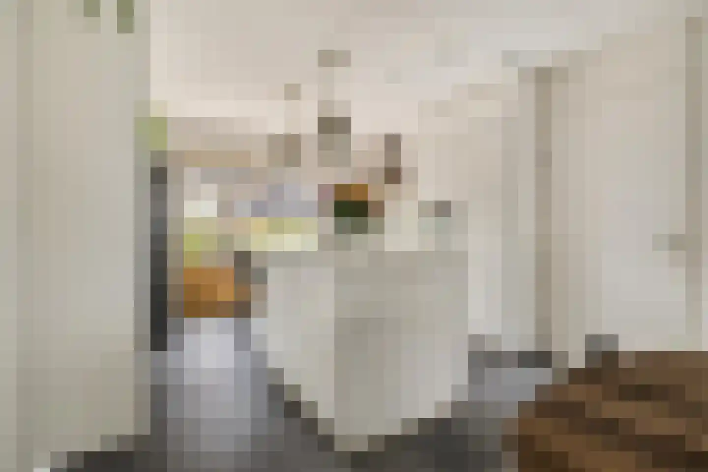 Valkenlaar 5 Bavel thumbnail 27