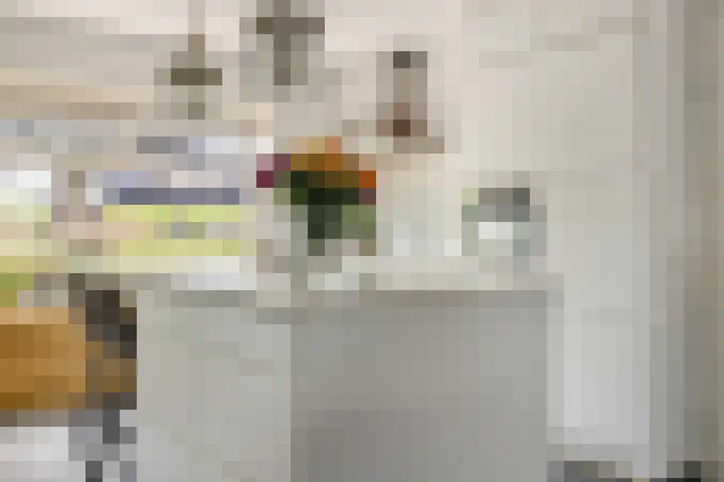 Valkenlaar 5 Bavel thumbnail 28