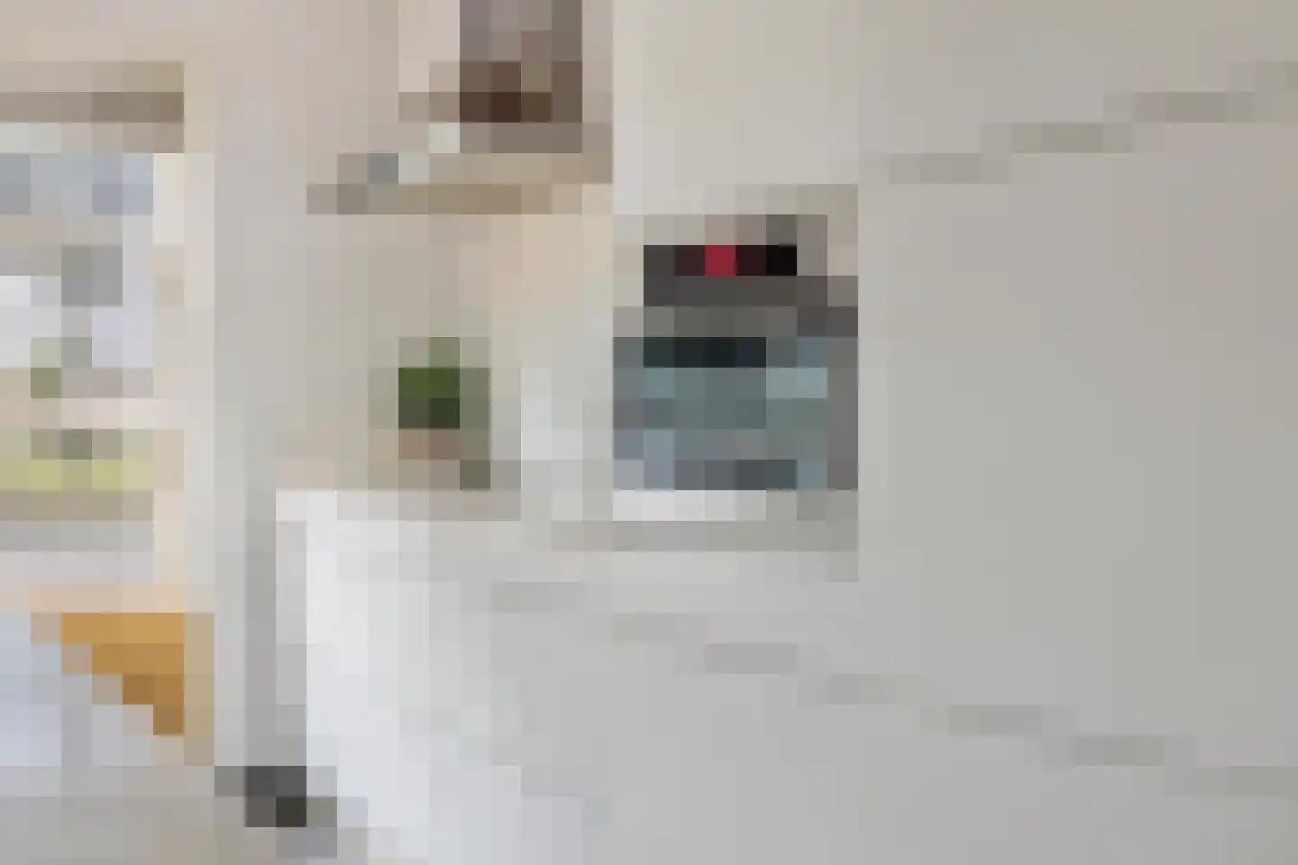 Valkenlaar 5 Bavel thumbnail 29