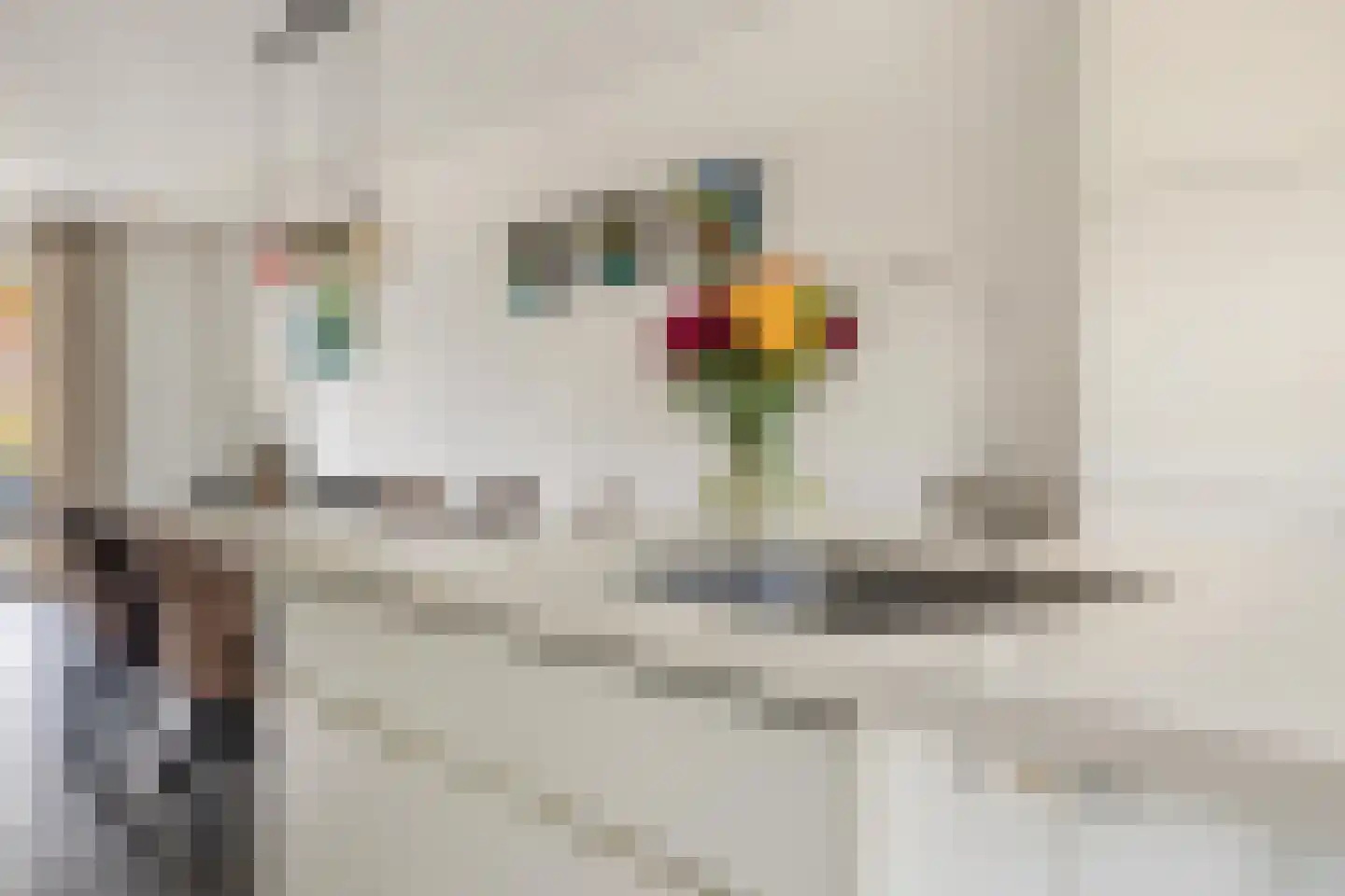 Valkenlaar 5 Bavel foto 3