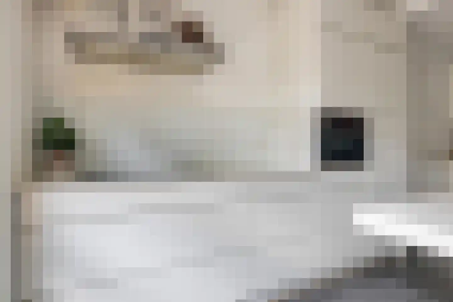 Valkenlaar 5 Bavel thumbnail 30