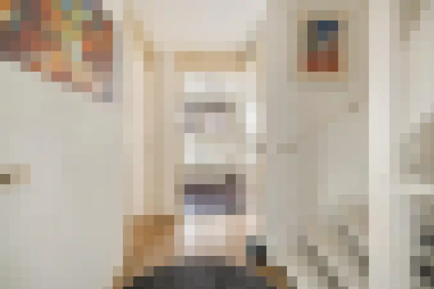 Valkenlaar 5 Bavel thumbnail 34