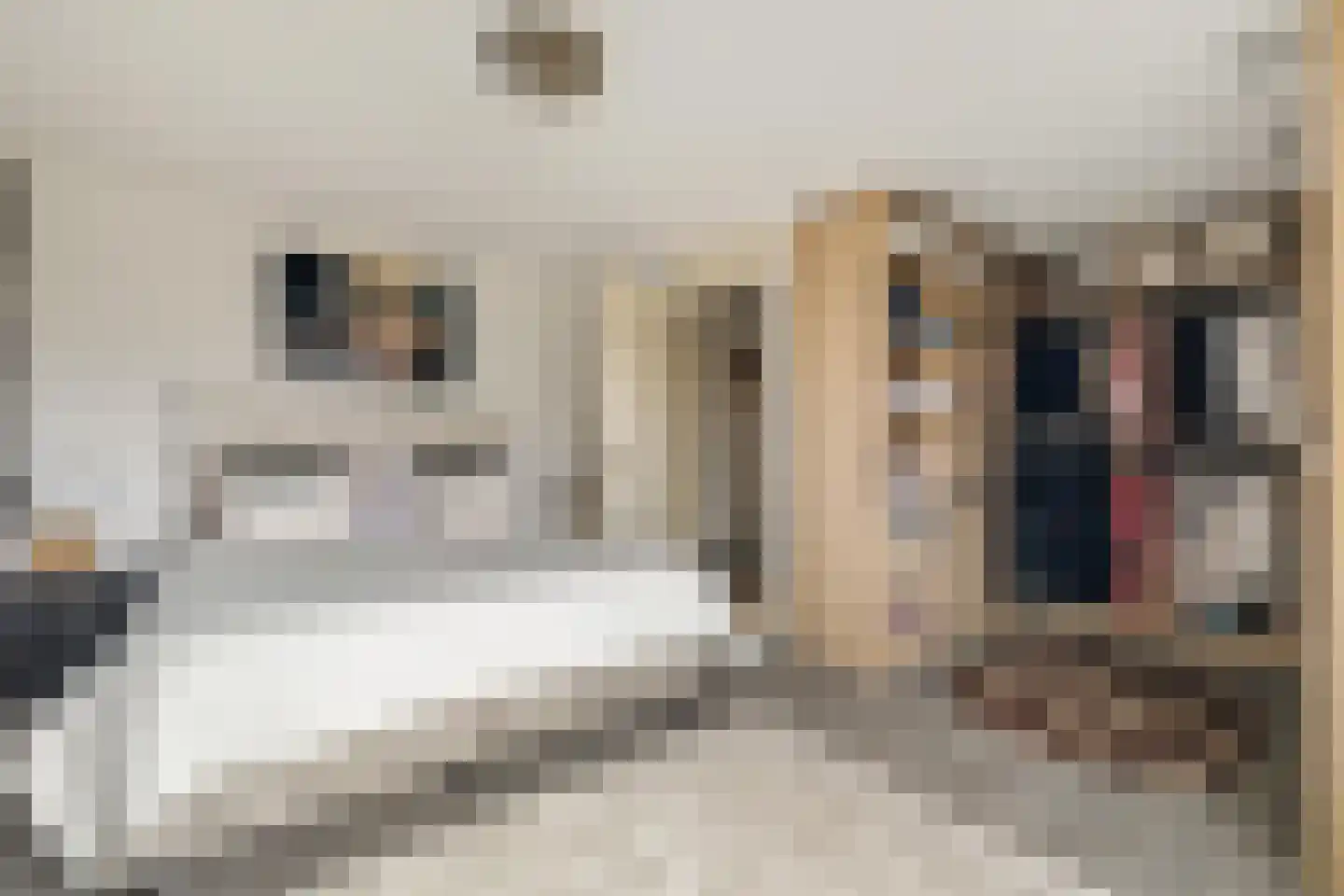 Valkenlaar 5 Bavel thumbnail 38