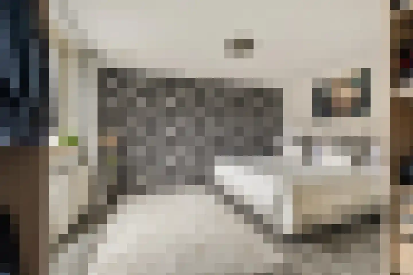 Valkenlaar 5 Bavel thumbnail 39