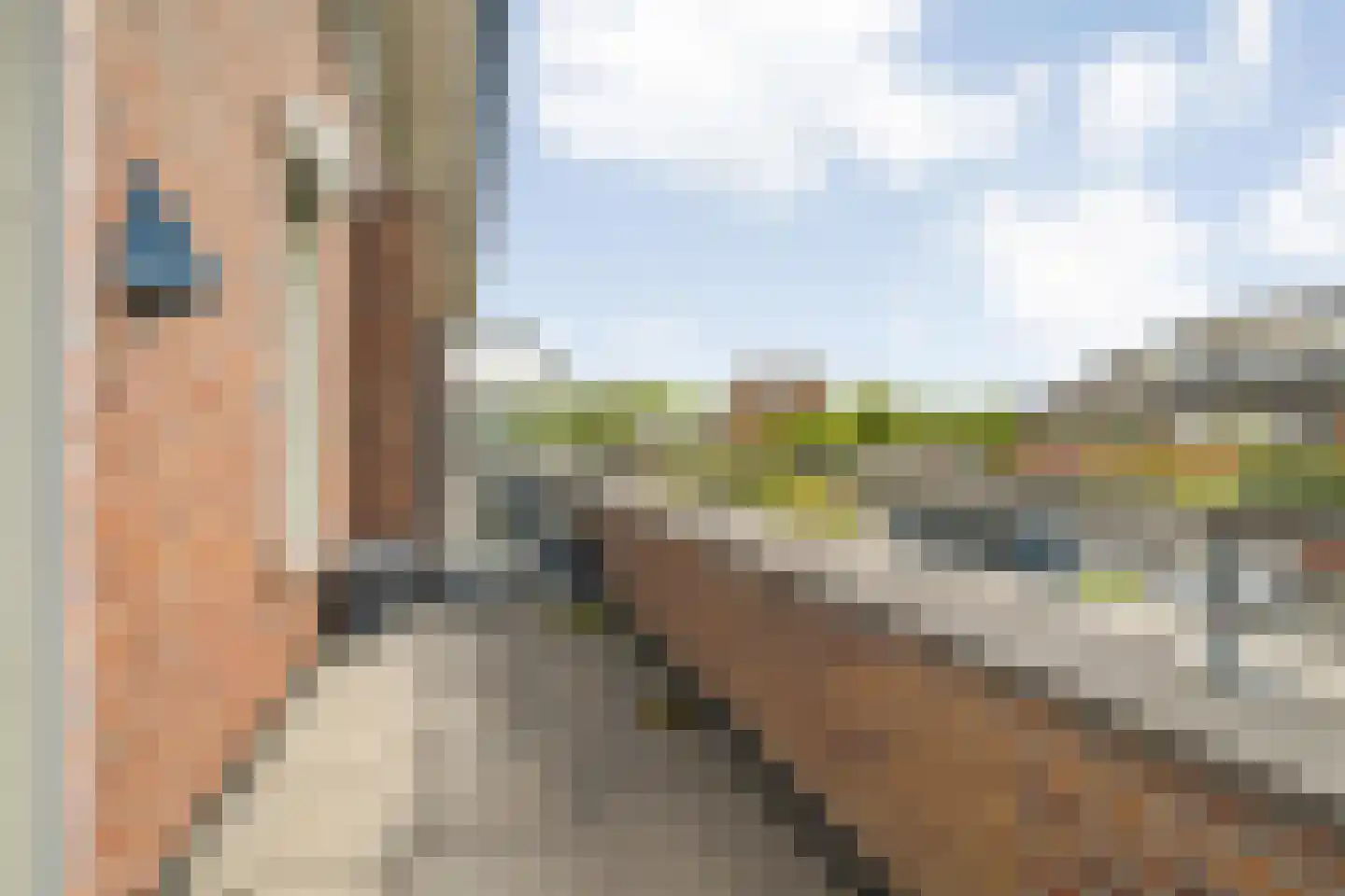 Valkenlaar 5 Bavel thumbnail 40
