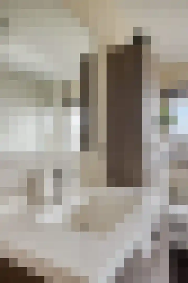 Valkenlaar 5 Bavel thumbnail 41