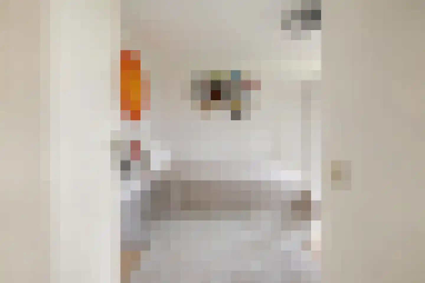 Valkenlaar 5 Bavel thumbnail 43