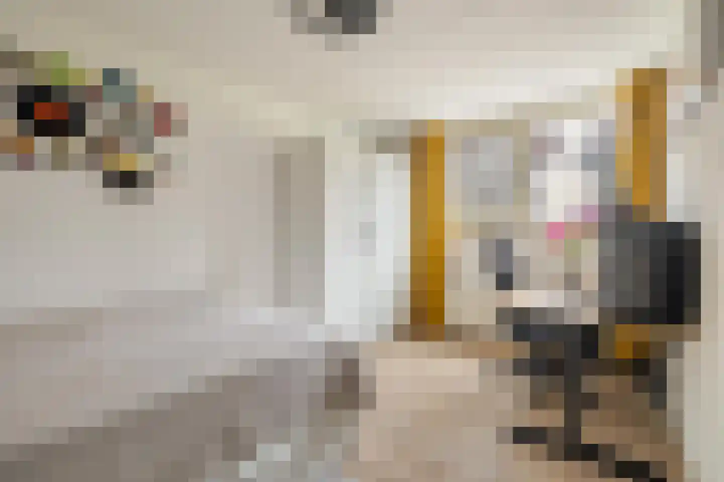 Valkenlaar 5 Bavel thumbnail 44