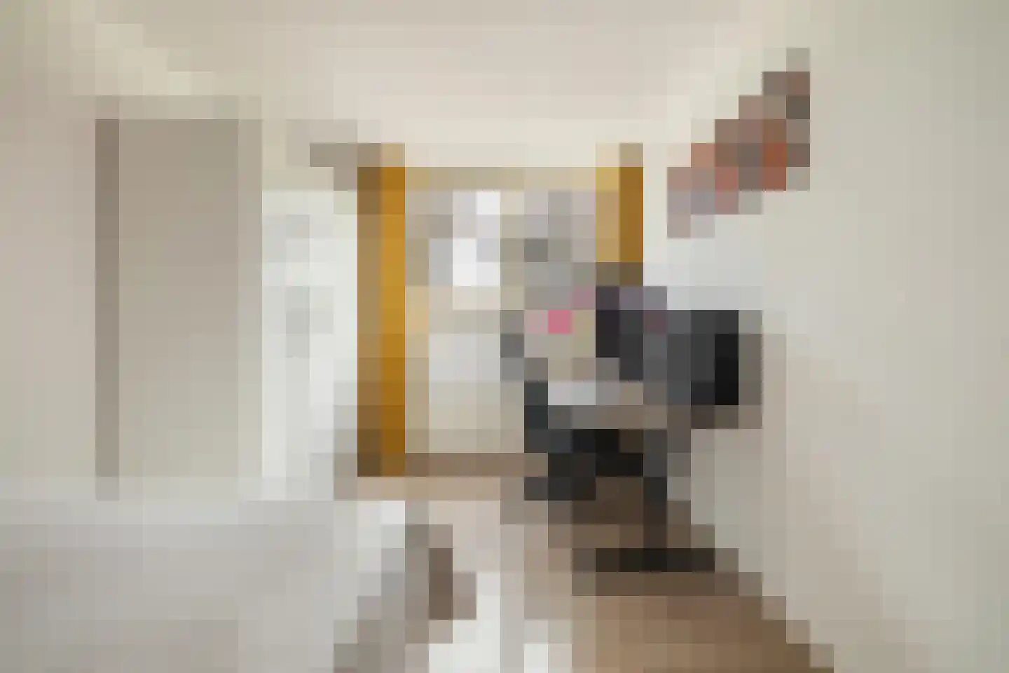 Valkenlaar 5 Bavel thumbnail 45