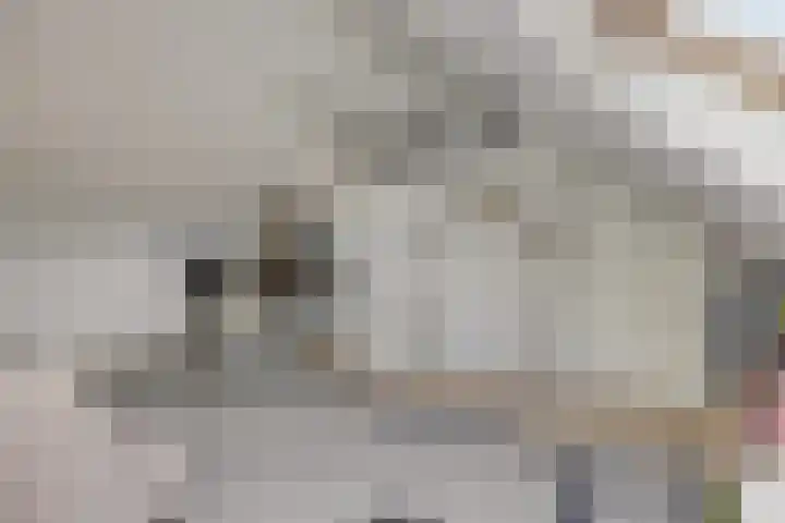 Valkenlaar 5 Bavel thumbnail 46