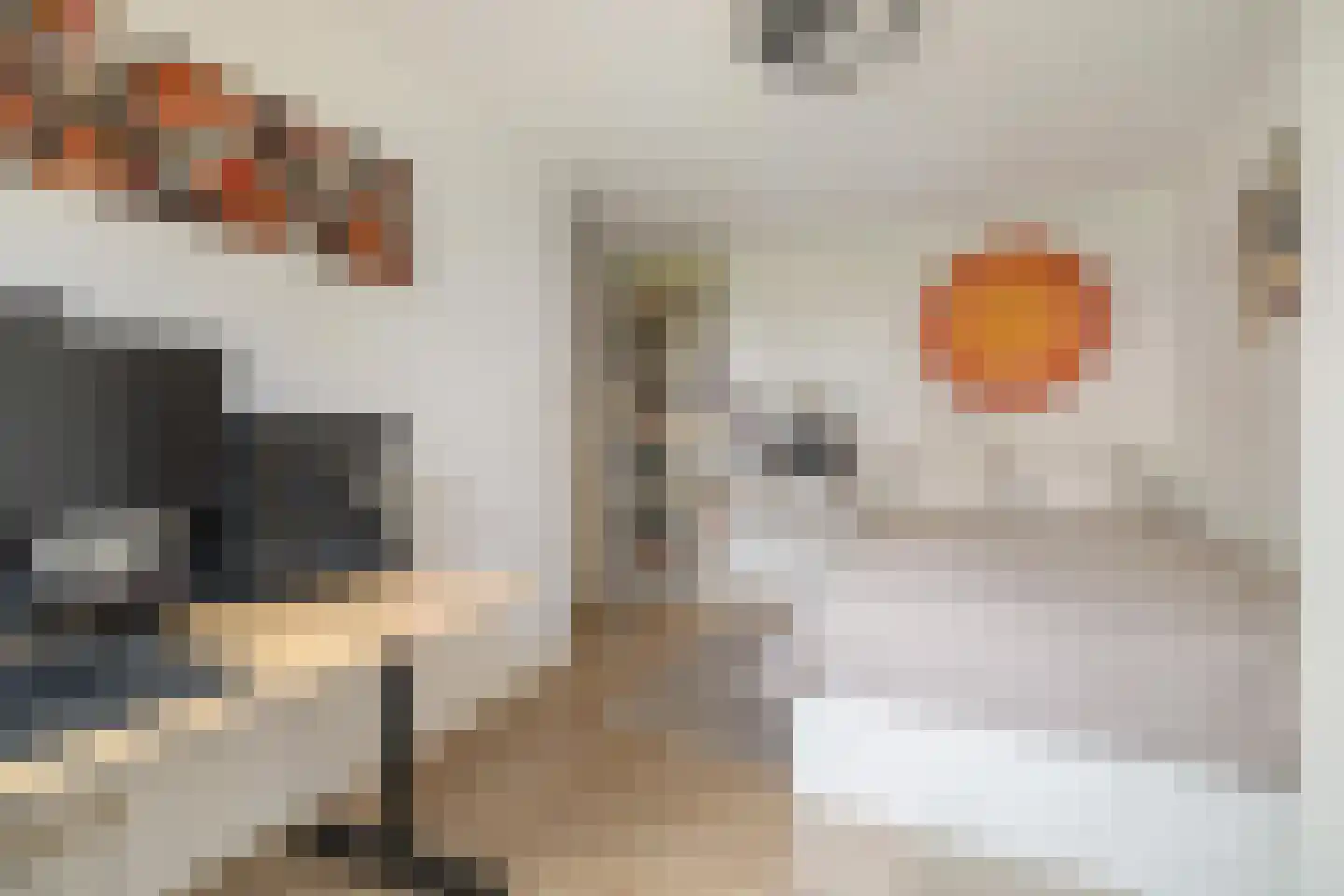 Valkenlaar 5 Bavel thumbnail 46