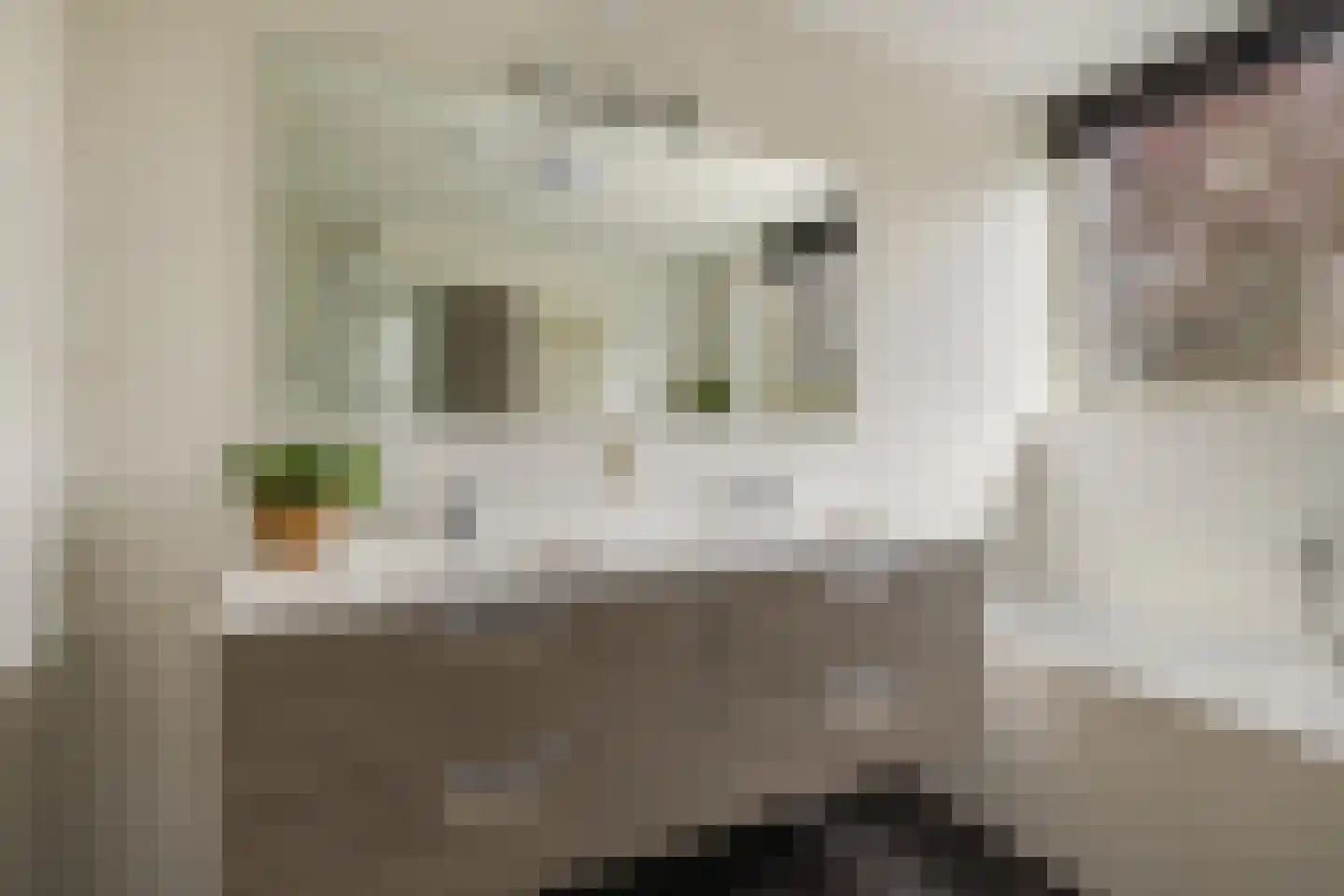 Valkenlaar 5 Bavel thumbnail 48