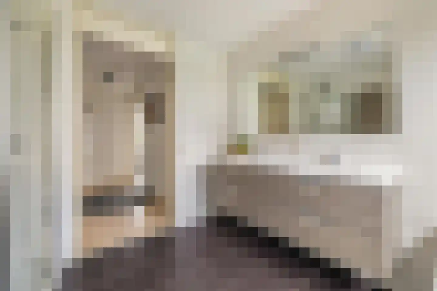 Valkenlaar 5 Bavel thumbnail 5