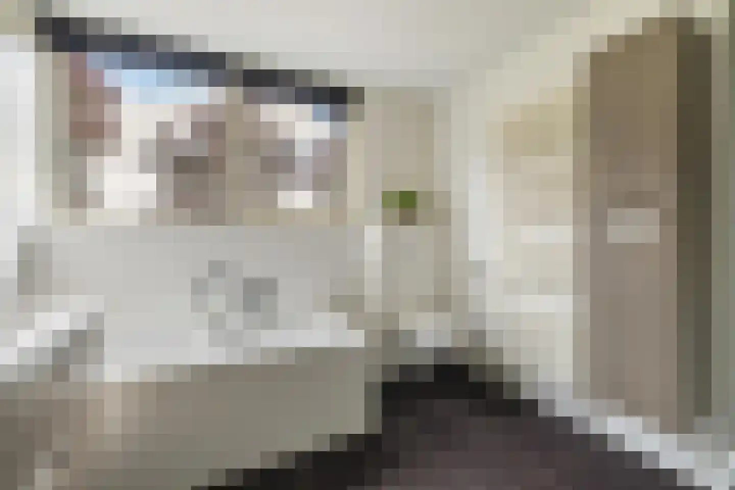Valkenlaar 5 Bavel thumbnail 53