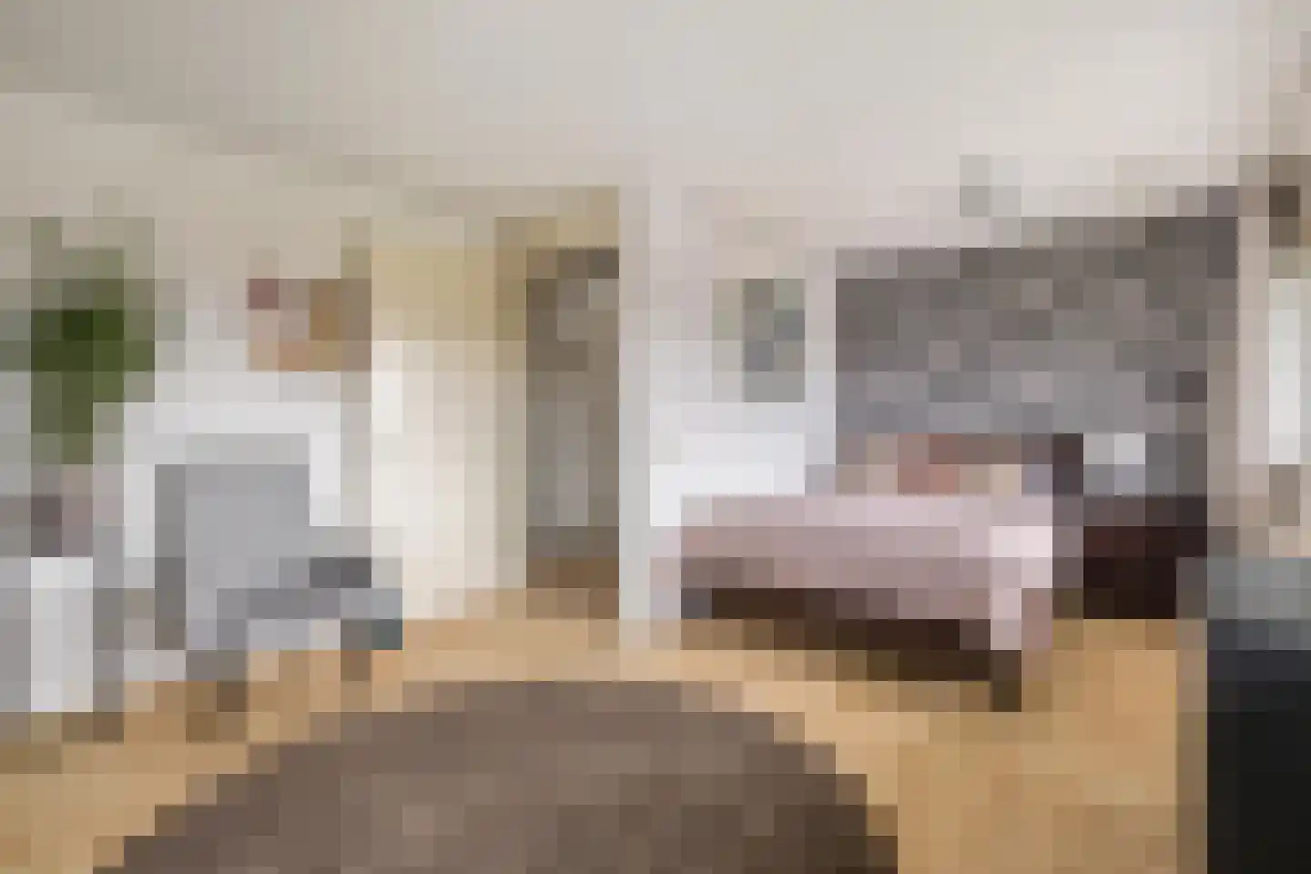 Valkenlaar 5 Bavel thumbnail 58