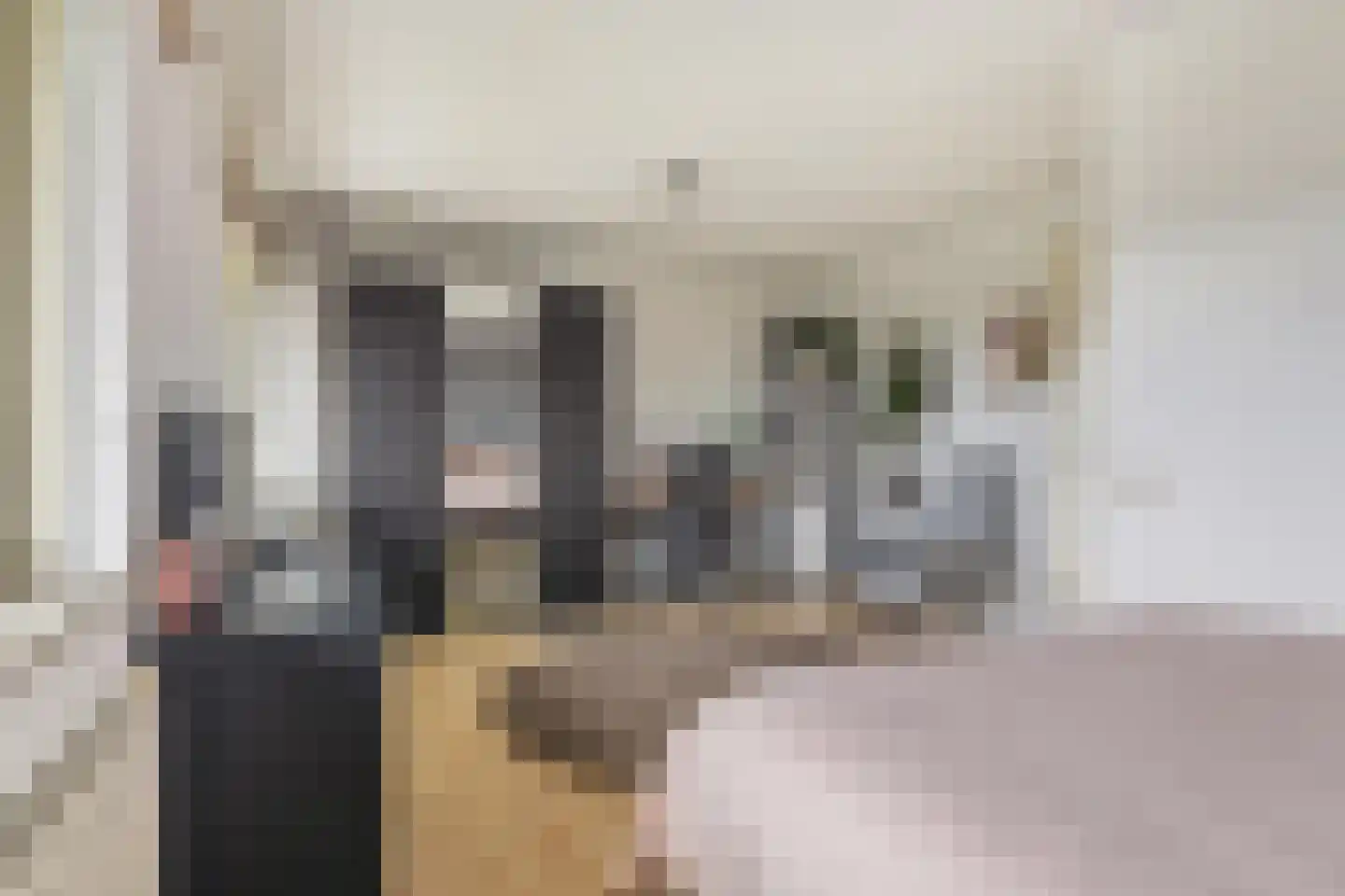 Valkenlaar 5 Bavel thumbnail 59