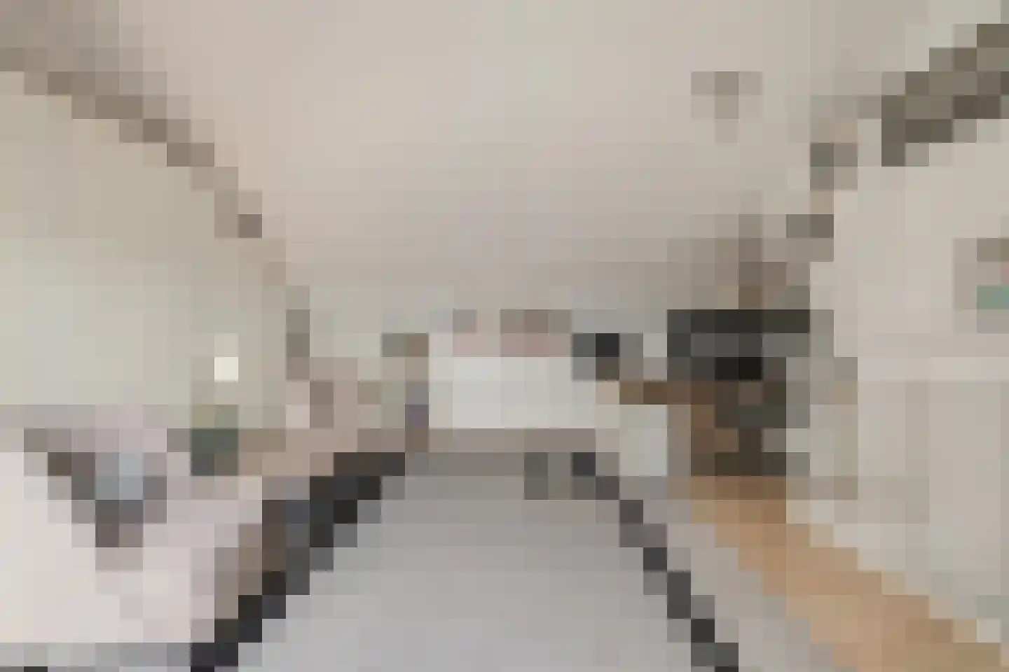 Valkenlaar 5 Bavel thumbnail 68