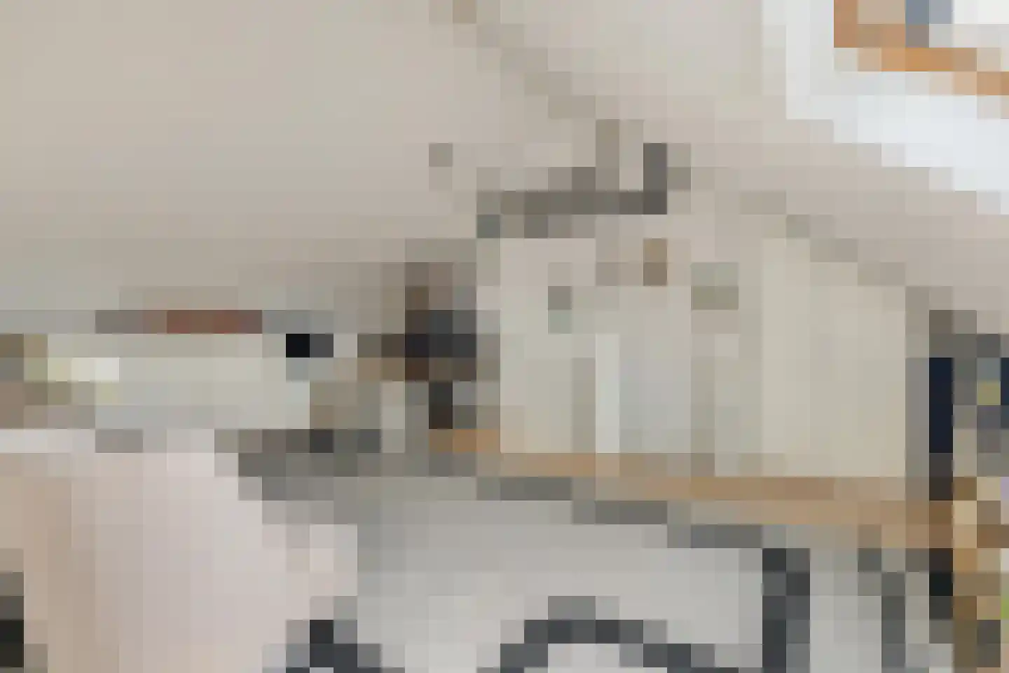 Valkenlaar 5 Bavel thumbnail 69