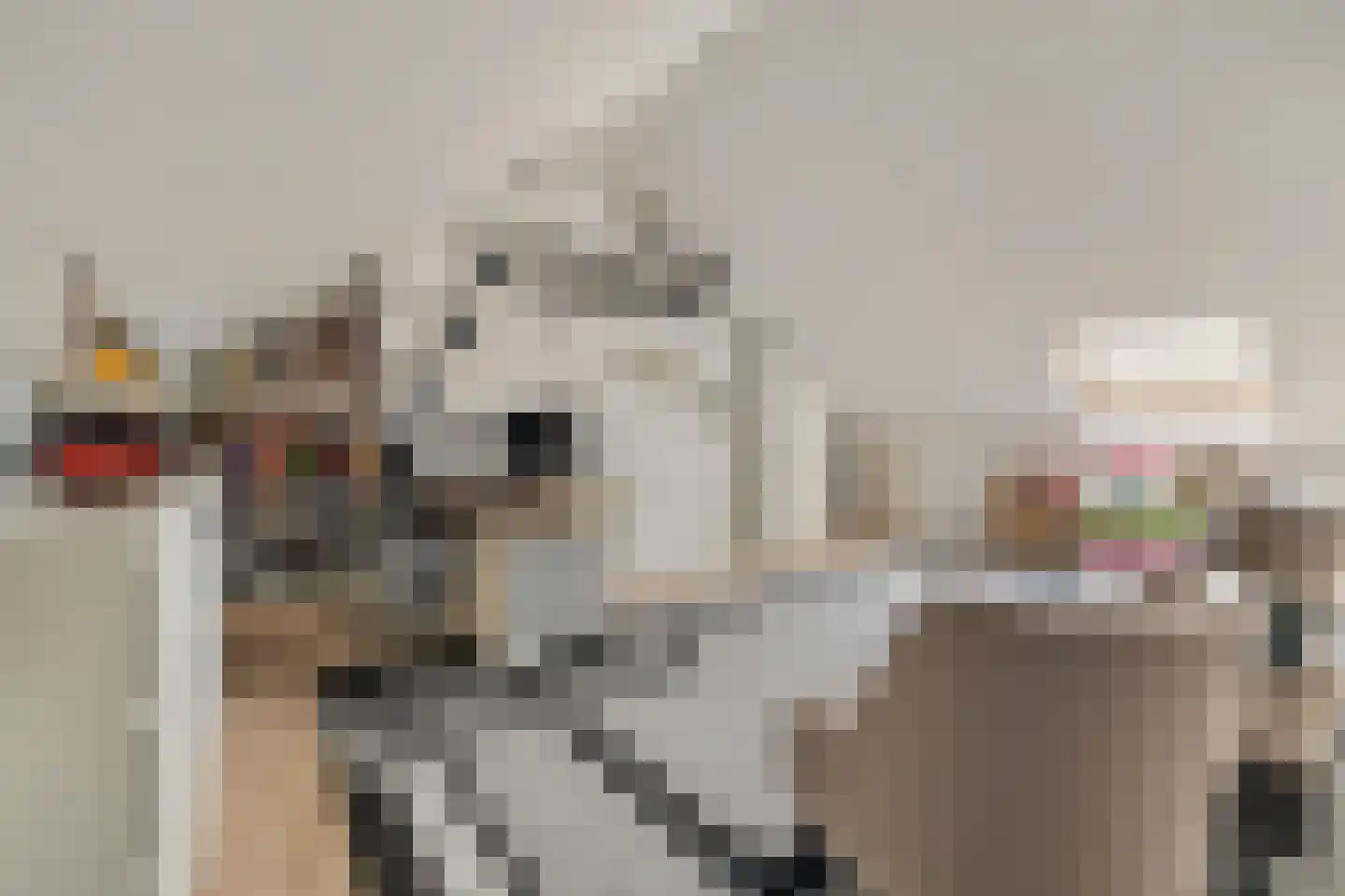 Valkenlaar 5 Bavel thumbnail 70