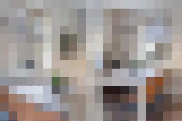 Valkenoog 2 Rhoon thumbnail 12