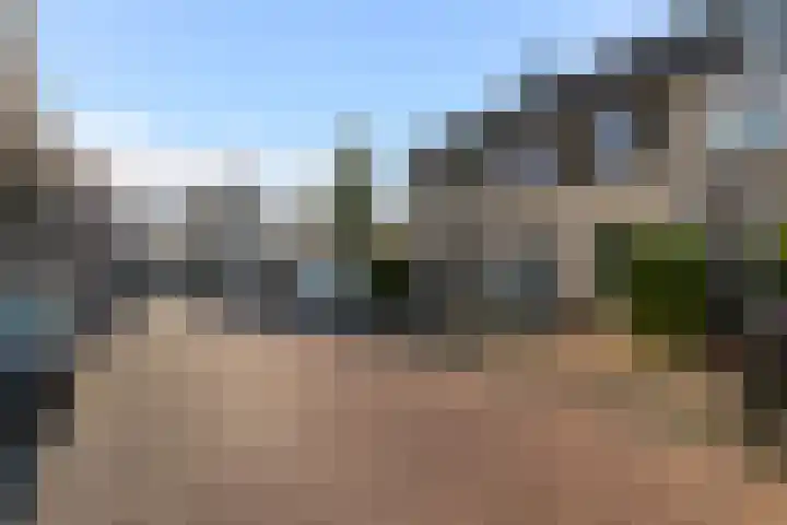 Valkenoog 2 Rhoon thumbnail 31