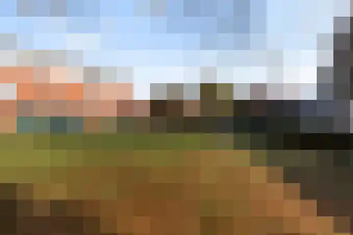 Valkenoog 2 Rhoon thumbnail 32