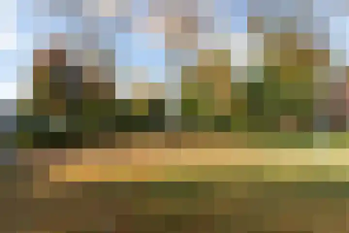 Valkenoog 2 Rhoon thumbnail 33
