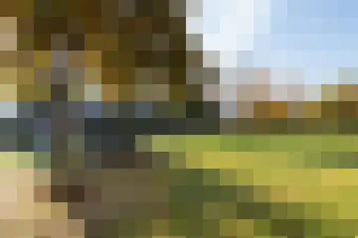 Valkenoog 2 Rhoon thumbnail 34