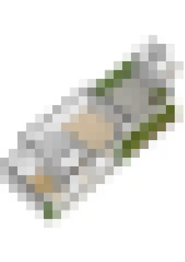 Valkenoog 2 Rhoon thumbnail 36