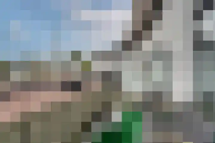 Valkenpad 10 Leiden thumbnail 11