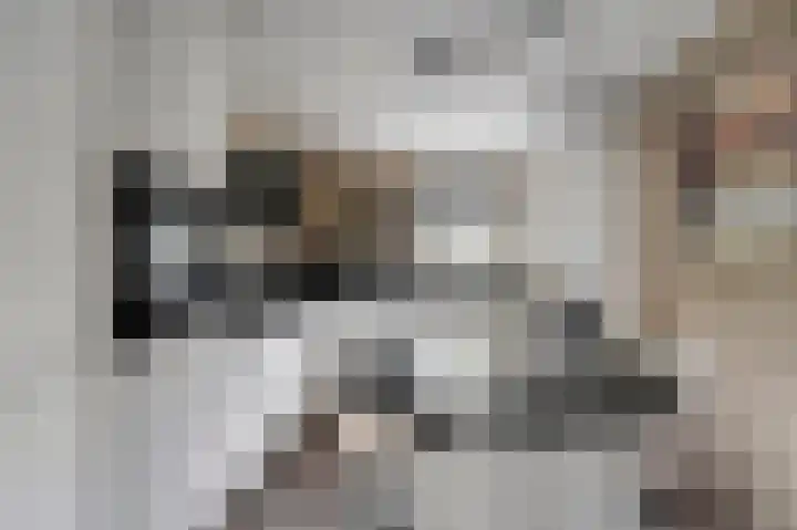 Valkenpad 10 Leiden thumbnail 12