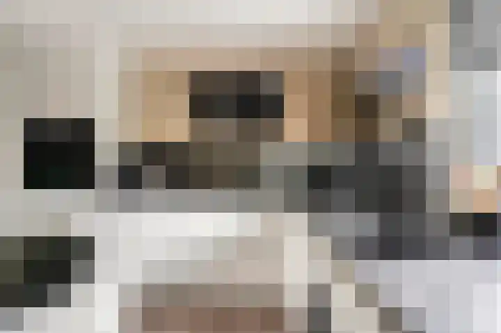 Valkenpad 10 Leiden thumbnail 13