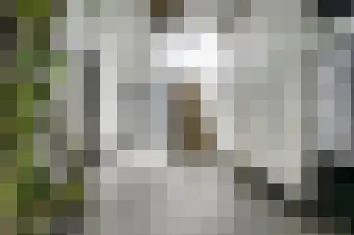Valkenpad 10 Leiden thumbnail 27