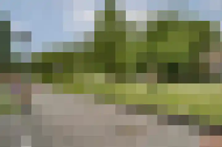 Valkenpad 10 Leiden thumbnail 30