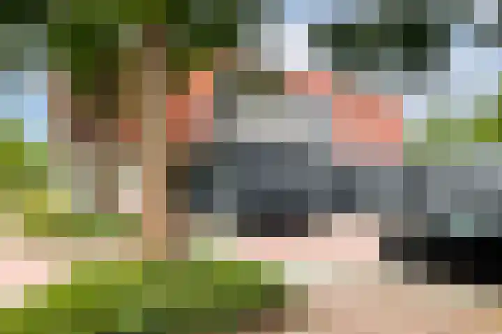 Valkenpad 10 Leiden thumbnail 31