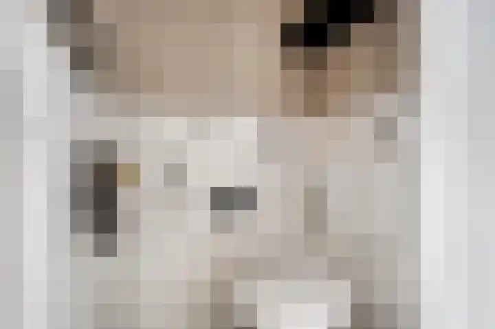 Valkenpad 10 Leiden thumbnail 5
