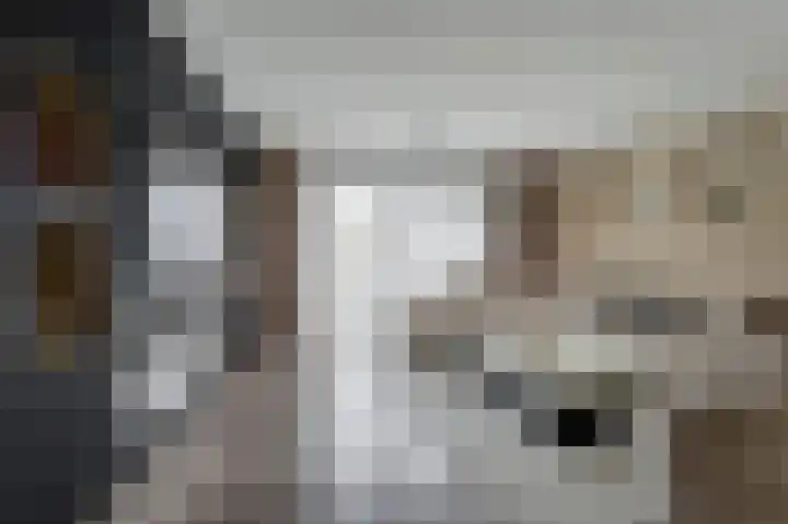 Valkenpad 10 Leiden thumbnail 6