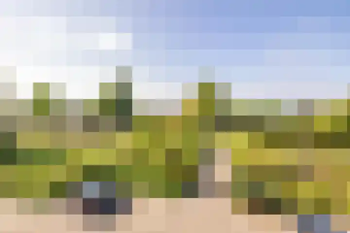 Valkenstede 103 Hoogeveen thumbnail 18
